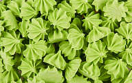 Сахарные фигурки мини-безе, Зеленые, 80гр фото