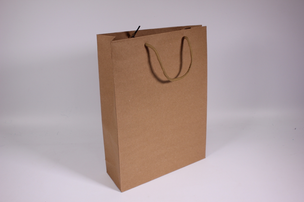 Пакет-222 фото